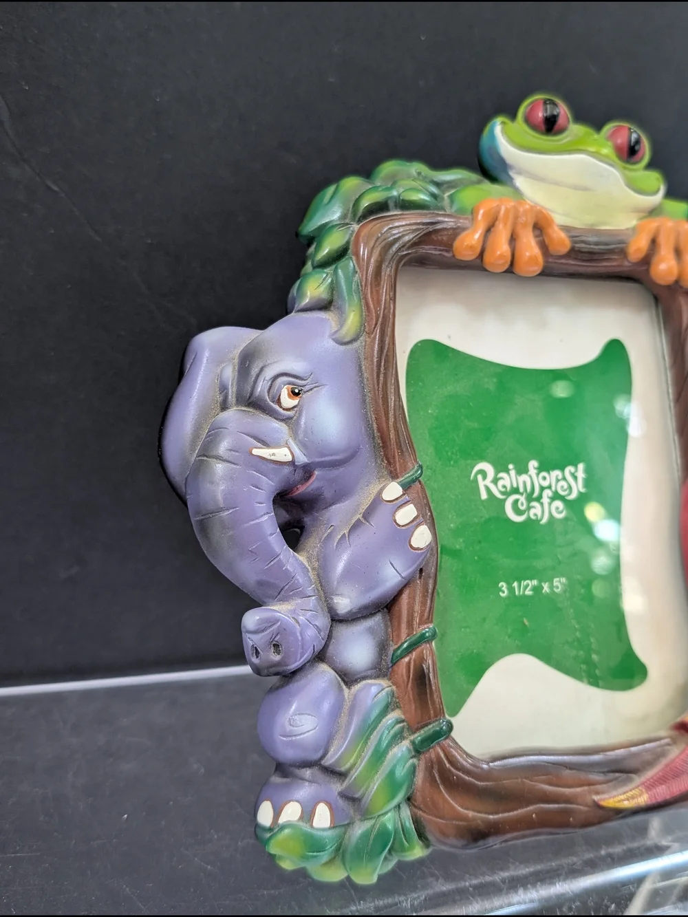 RAINFOREST Colorful Rainforest Animal Photo Frame - Green/Red/Purple